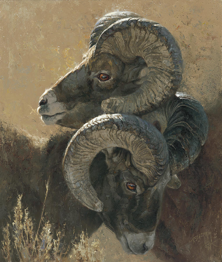 Bighorn Sheep Painting - Tactical Manuevers by Greg Beecham