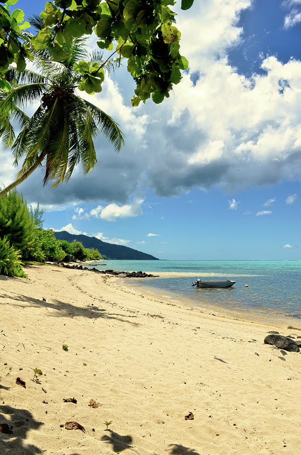 Tahitian Pacific Paradise Photograph