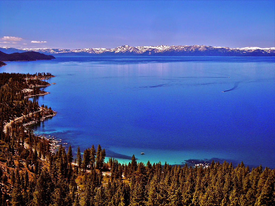 Tahoe Blue Photograph by Geoff McGilvray