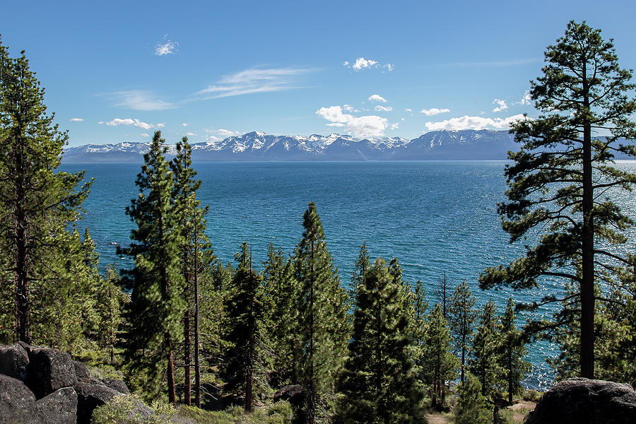 Tahoe Lake View Photograph by Gary Geddes