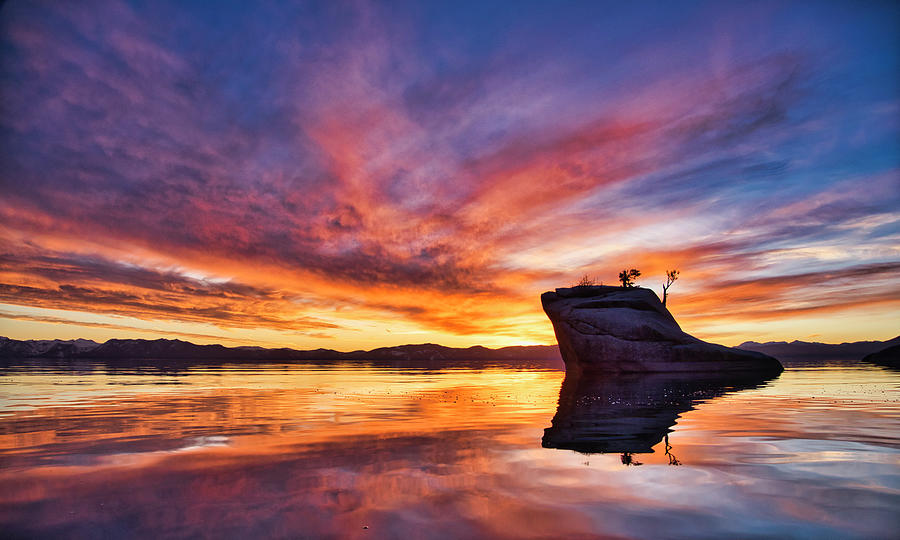 Tahoe Sunset Silhouette Photograph by Martin Gollery