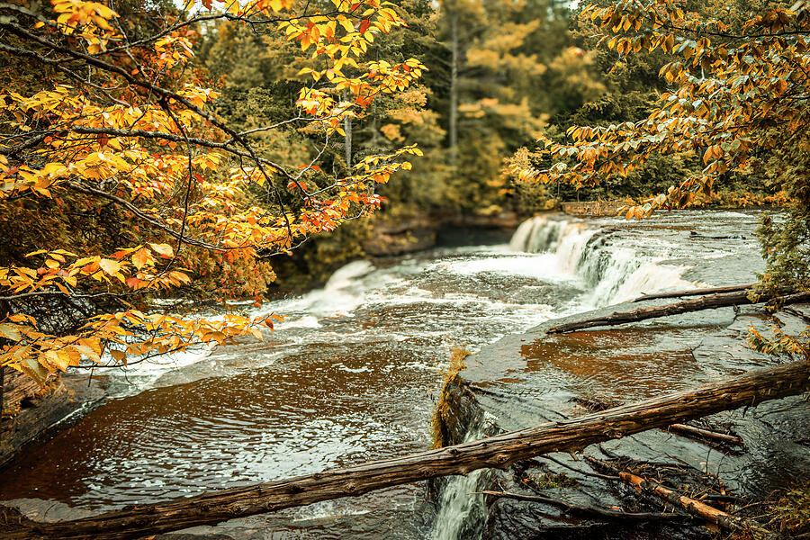 Golden Flow - Lower Falls, Tahquamenon River, Michigan Photograph by Brigitte Blanchette Thompson