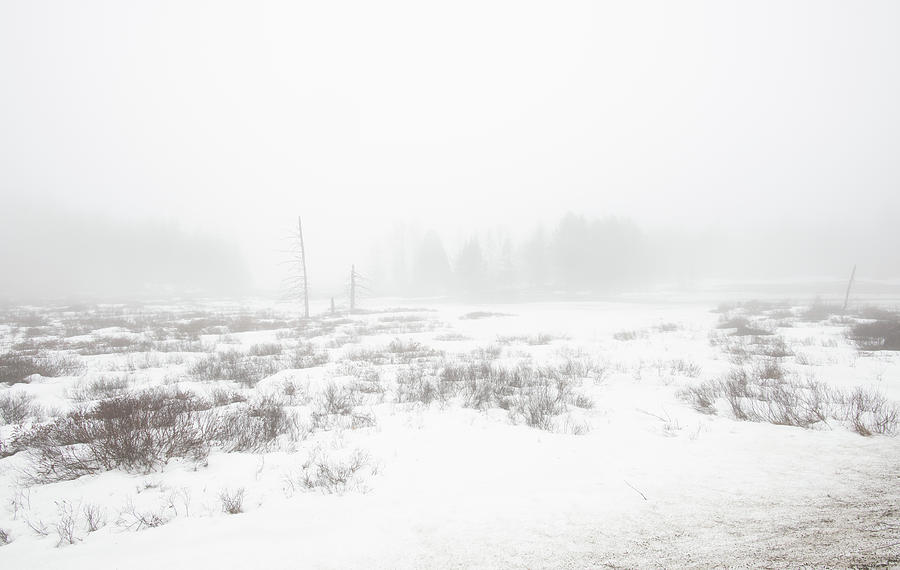 Tahawus Road Winter Meltdown Photograph by Linda MacFarland Fine Art