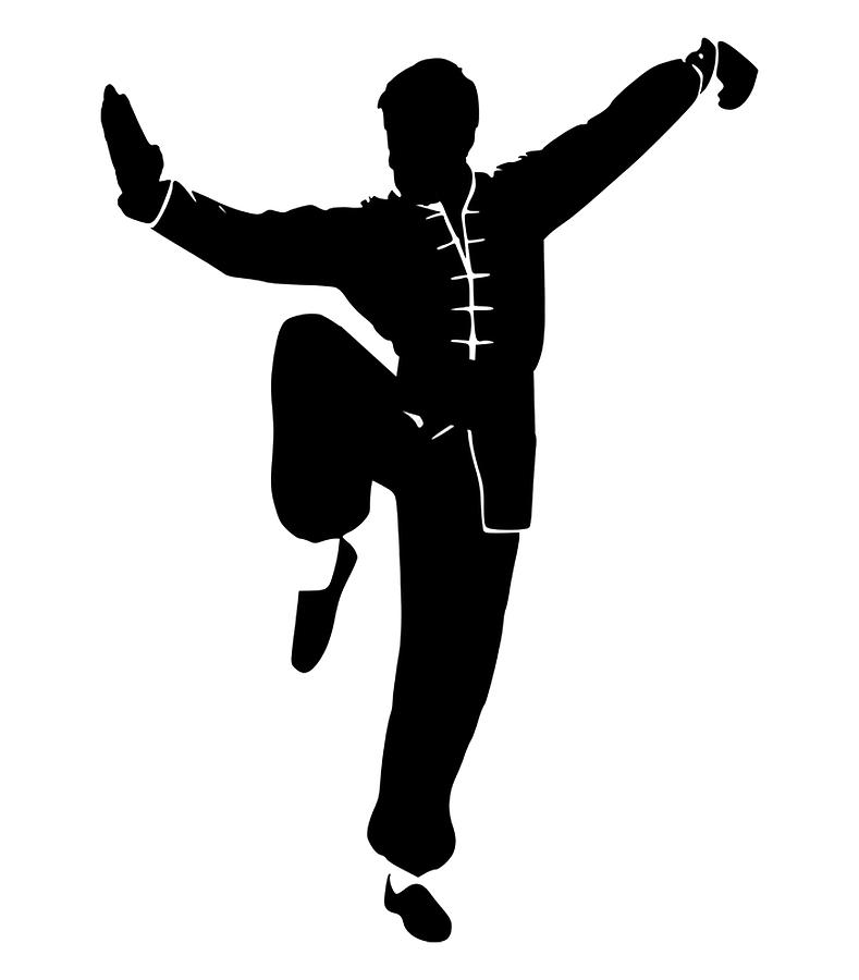 Tai Chi, Kung Fu, Wushu, Shaolin, Action, Active, Silhouette. Digital by Tom Hill Pixels