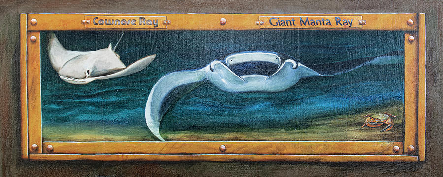 Tails from the Harbor - Giant Manta Ray Photograph by Punta Gorda Historic Mural Society