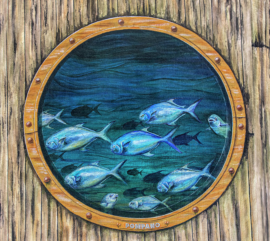 Tails from the Harbor - Pompano Photograph by Punta Gorda Historic Mural Society