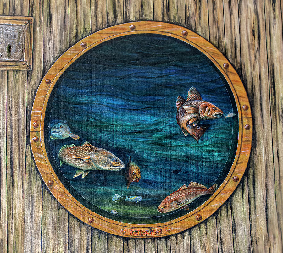 Tails from the Harbor - Redfish Photograph by Punta Gorda Historic Mural Society