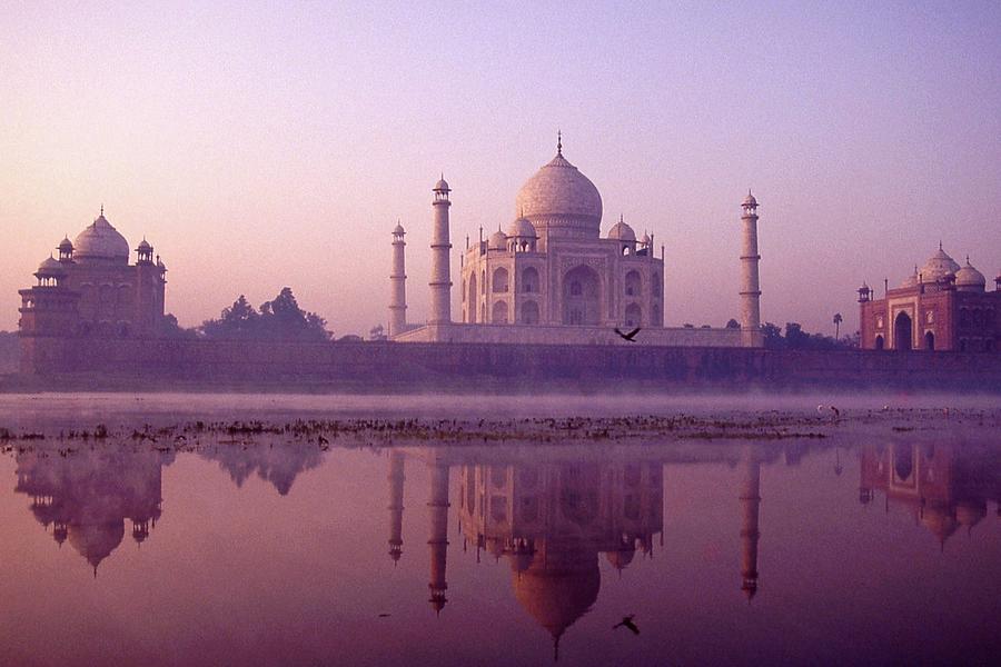 Taj Mahal Yamuna Dawn Photograph By Peter Gellatly Pixels