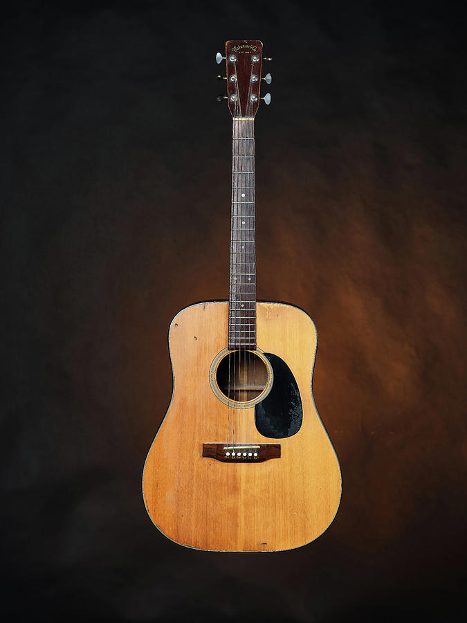 Takamine Guitar 805.2109 Photograph by M K Miller
