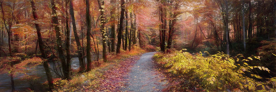 Take a Walk in the Woods Panorama Painting Photograph by Debra and Dave Vanderlaan