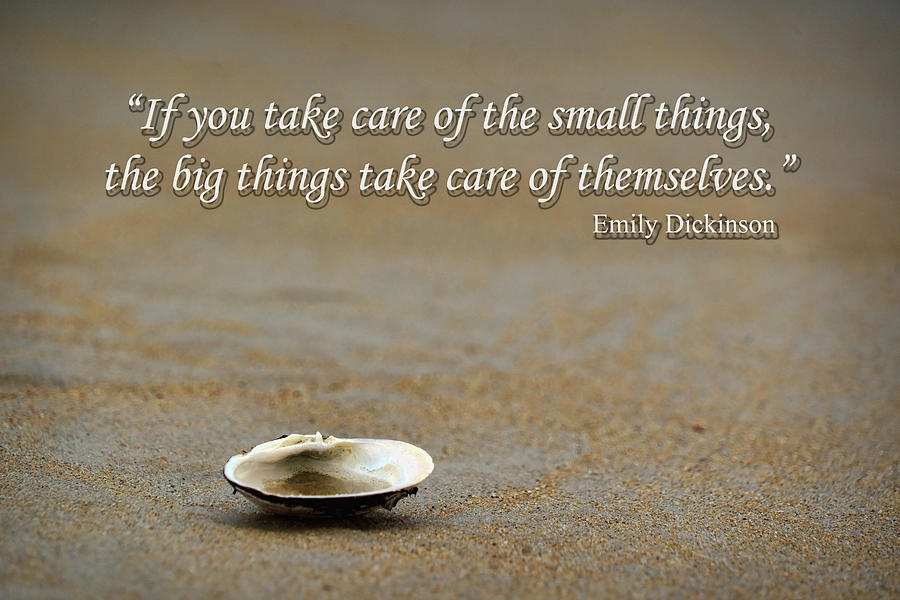 Take Care of the Small Things Photograph by Nikolyn McDonald