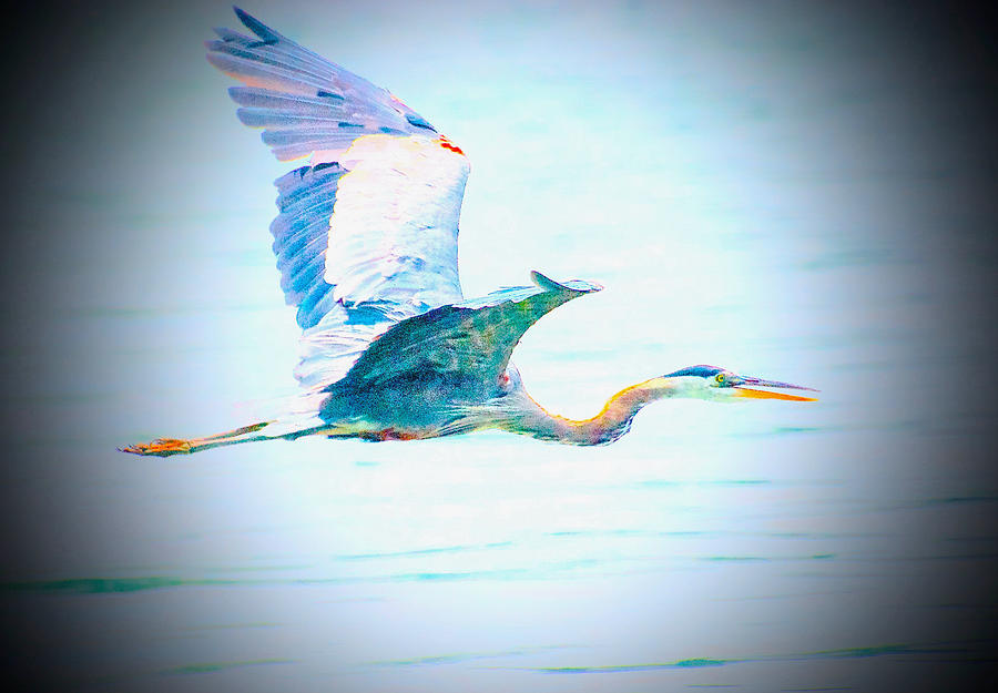 Heron Photograph - Take It Easy by Gwendolyn Christopher