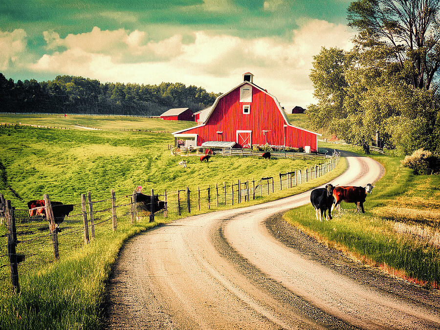 Barn Photograph - Take Me Home - 1 by Pete Federico Barn Photograph - Take Me Home - 1 by Pete Federico