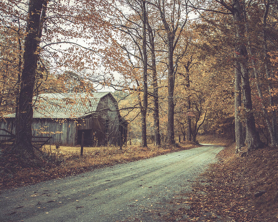 Take Me Home Country Road Photograph by Dodie Ross Take Me Home Country Road Photograph by Dodie Ross
