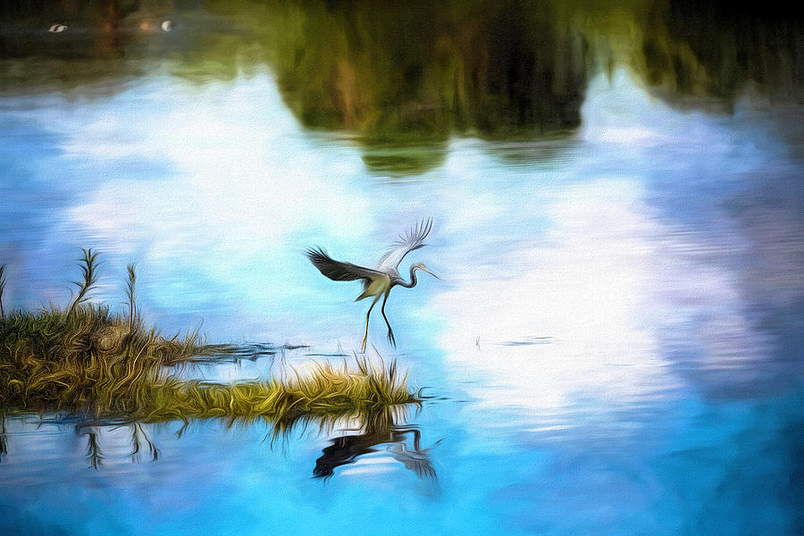 Take Off Blue Heron Photograph by Deborah Penland