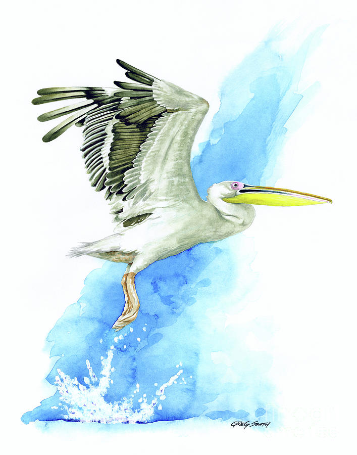 Pelican Painting - Take Off by Greg Smith