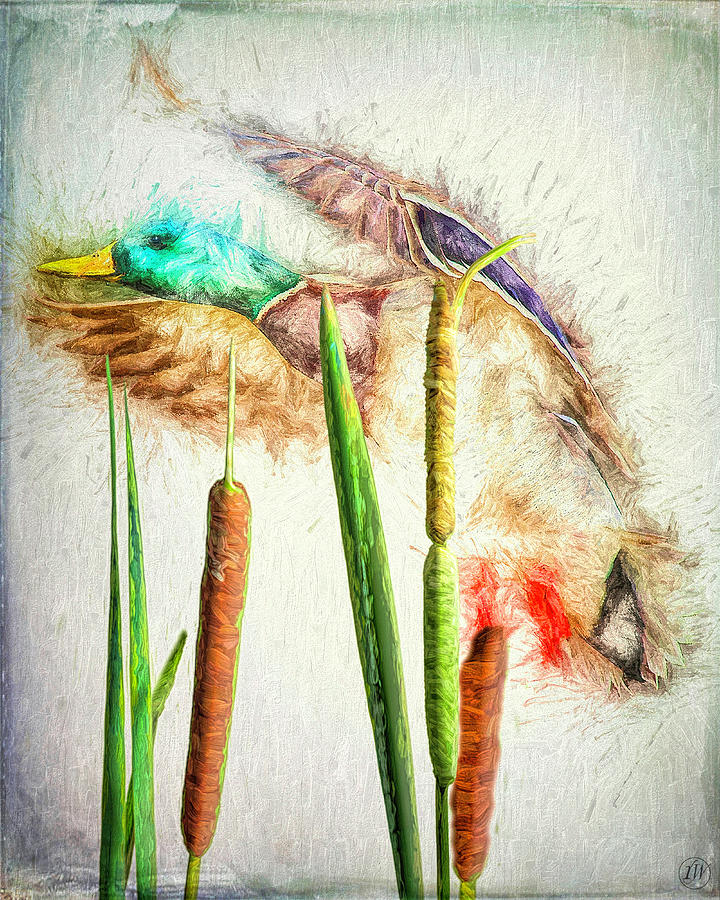 Take Off by Rick Wiles Take Off by Rick Wiles