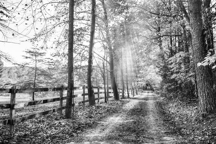 Take the Back Roads Black and White Photograph by Debra and Dave ...