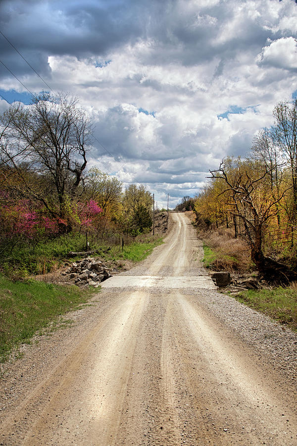 Take the Dirt Road Photograph by Jolynn Reed