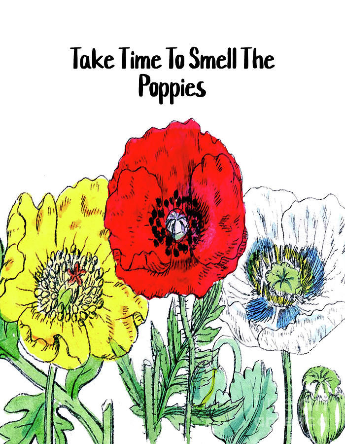 Take Time To Smell The Poppies Mixed Media by Tina LeCour