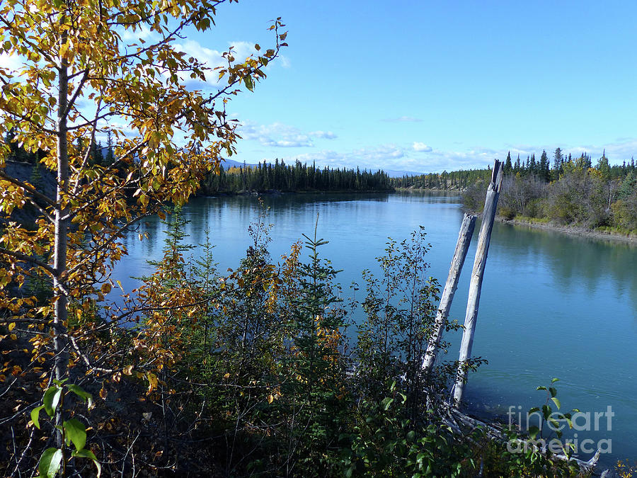 Takhini River - Yukon Photograph by Phil Banks