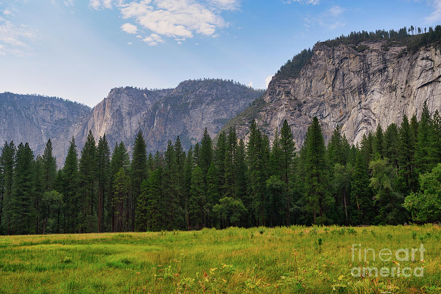 Taking a walk in the meadows, Yosemite National Park Photograph by Abigail Diane Photography