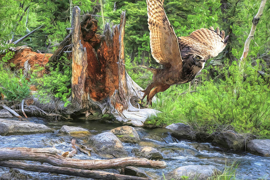 Taking Off at Duck Creek Photograph by Donna Kennedy
