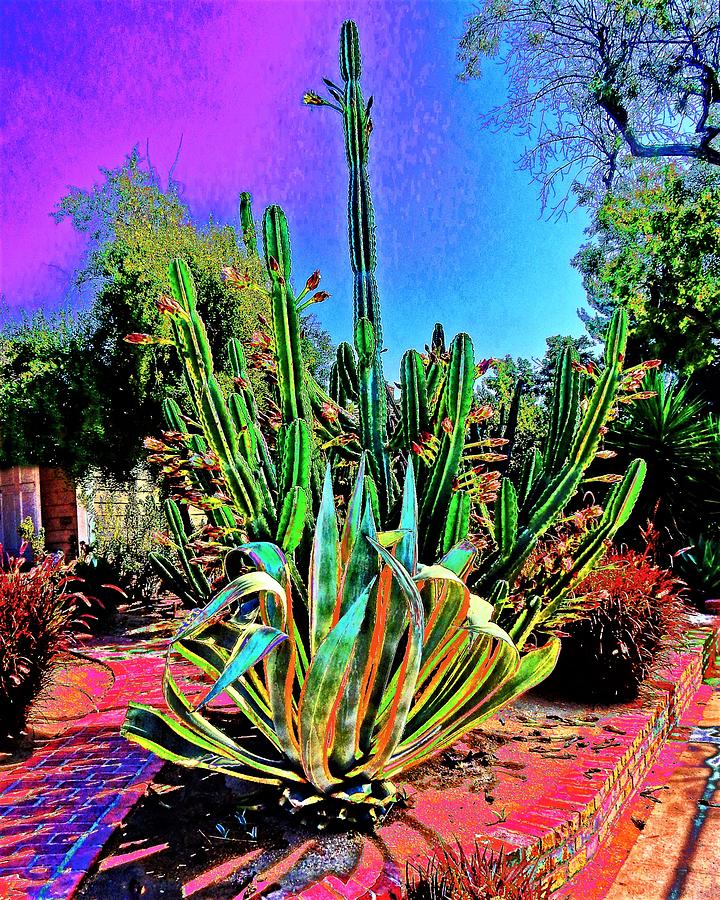 Tall Cactus Solar Photograph by Andrew Lawrence