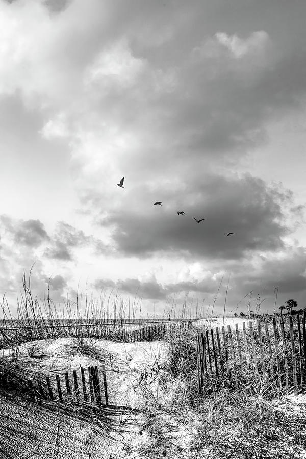 Tall Clouds over the Dunes Black and White Photograph by Debra and Dave Vanderlaan