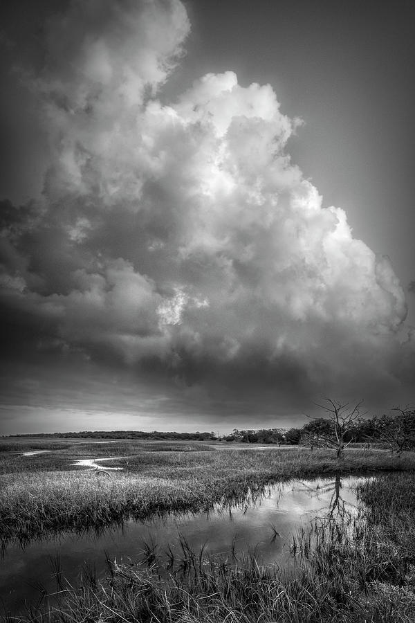 Tall Clouds over the Marsh Black and White Photograph by Debra and Dave Vanderlaan
