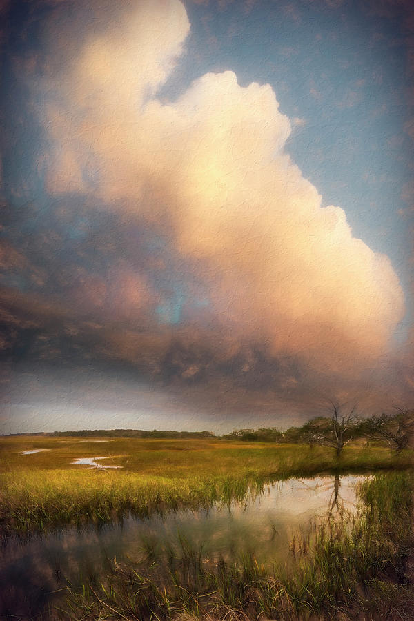 Tall Clouds over the Marsh Painting Photograph by Debra and Dave Vanderlaan