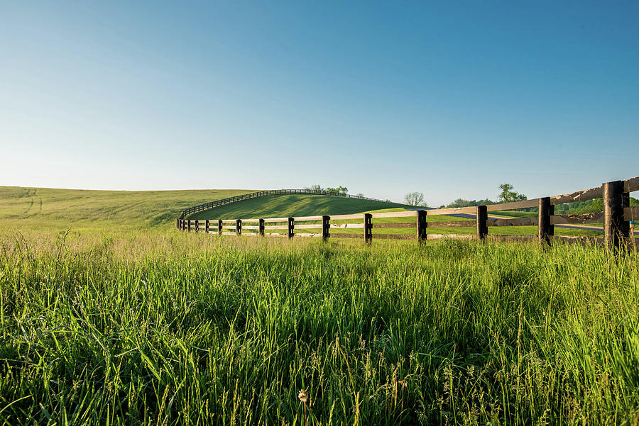 Tall Dewy Grass in Rolling Hills of Kentucky Photograph by Kelly VanDellen