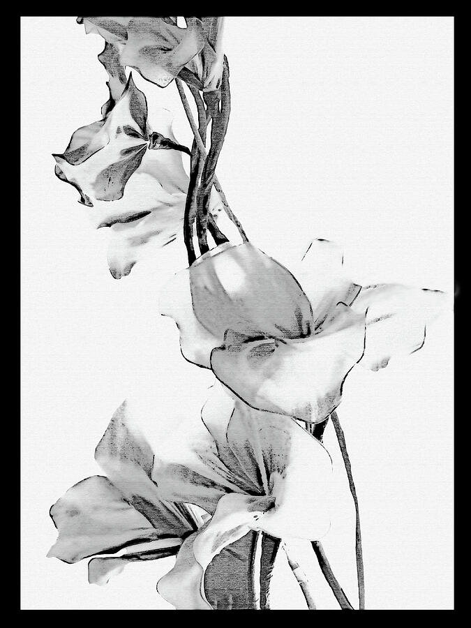 Tall Flowers Black and White Mixed Media by Sharon Williams Eng
