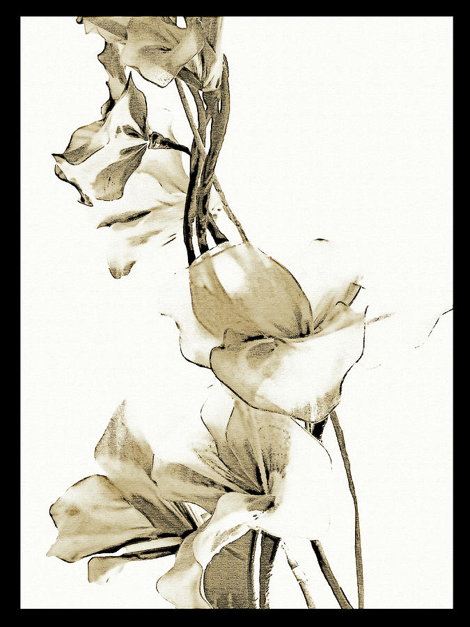 Tall Flowers Sepia Mixed Media by Sharon Williams Eng