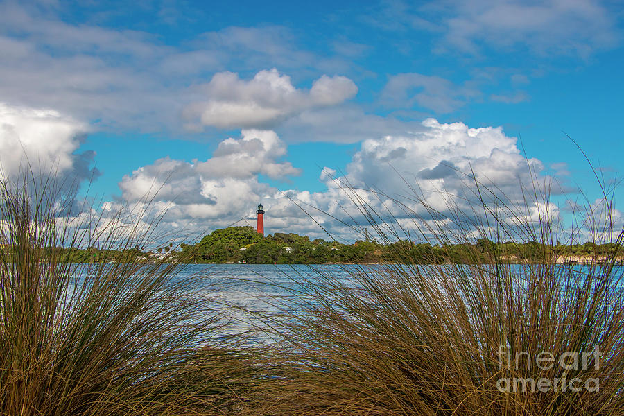 Nature Photograph - Tall Grass and Lighthouse by Tom Claud