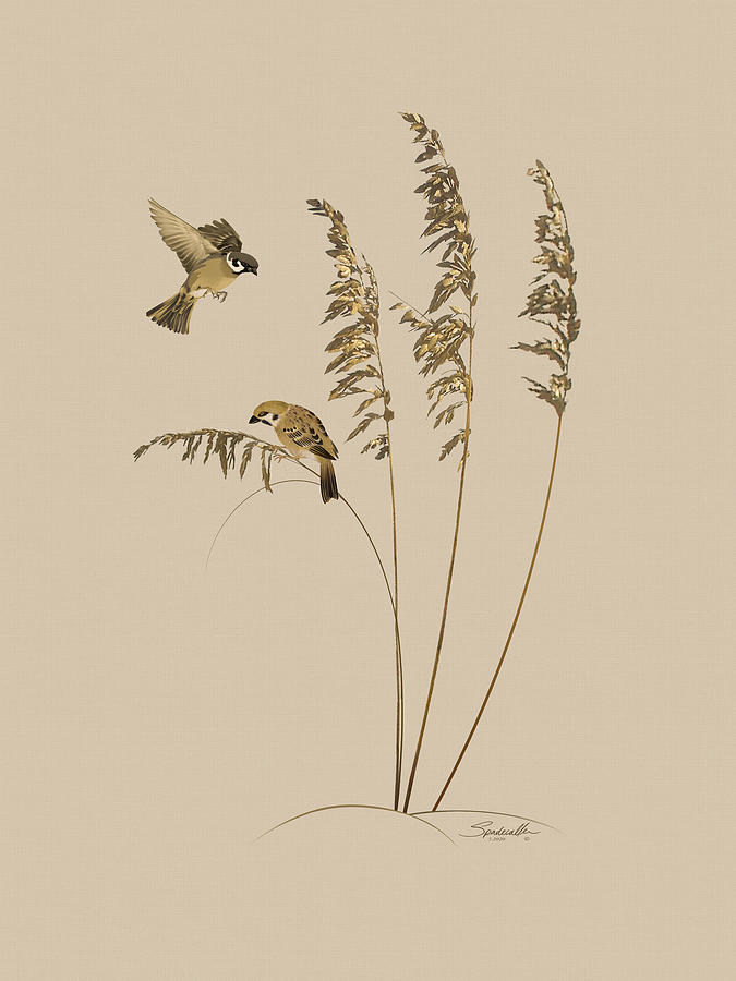 Tall Grass and Sparrows Digital Art by M Spadecaller