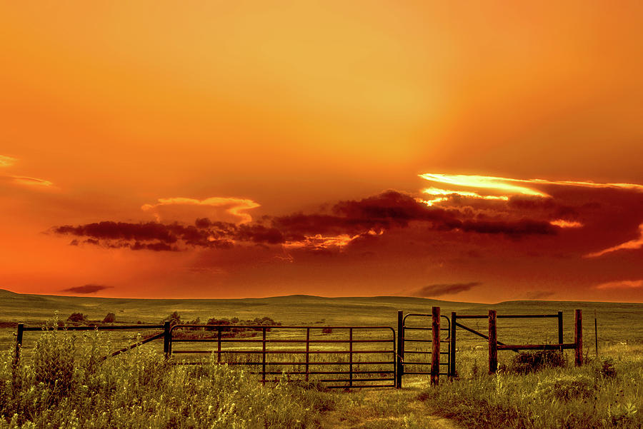 Tall Grass Prairie Photograph by Don Spenner