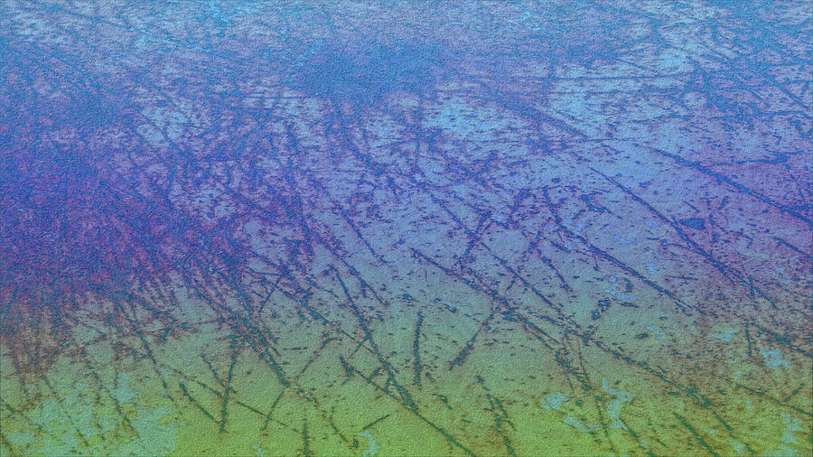 Tall Grass Reflecting In Waters Edge at Dawn Digital Art by Deborah League