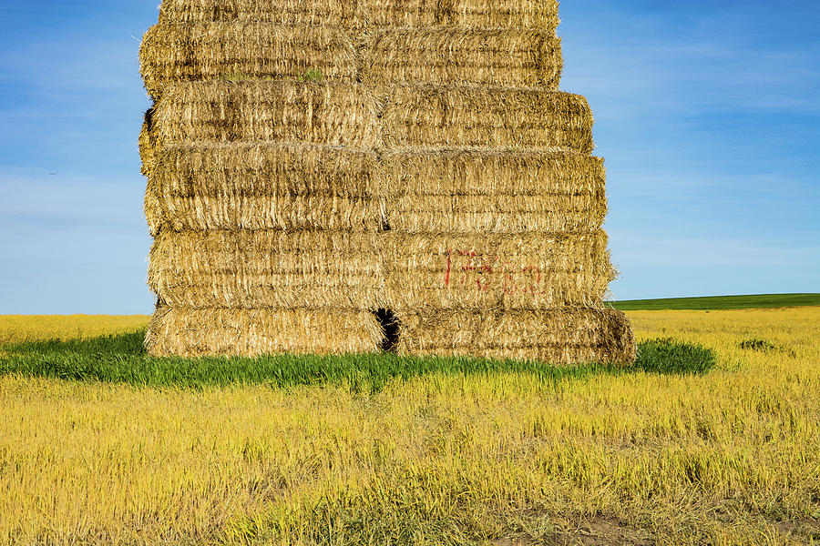 Tall Hay Bales in the Palouse Photograph by Tom Cochran