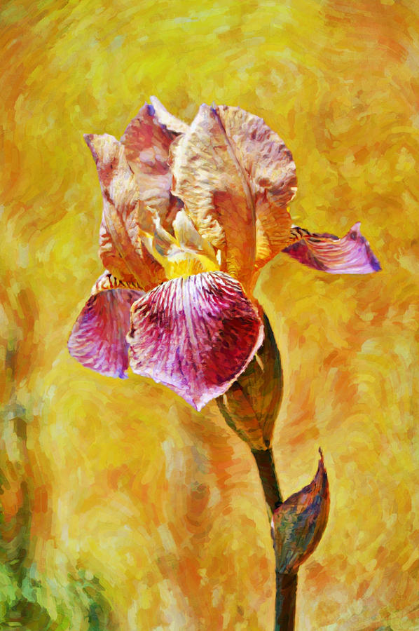 Tall Iris Flower Impressionistic Portrait Digital Art by Gaby Ethington