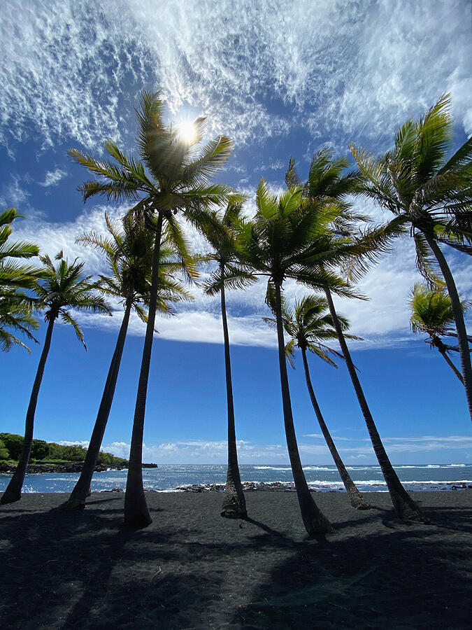 Tall Palms Preside Over The Black Sand Of Hawaii Photograph by Deborah League
