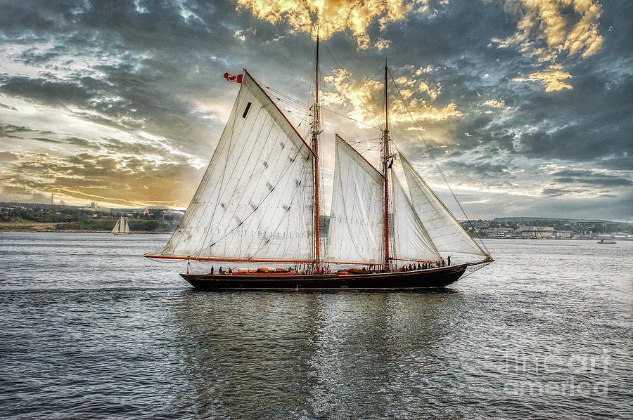 Tall Ship   Halifax Harbour  Canada Photograph by Elaine Manley