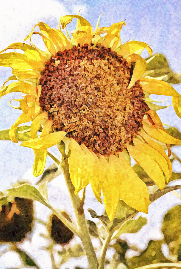 Tall Sunflower Impressionist Style Photograph by Gaby Ethington