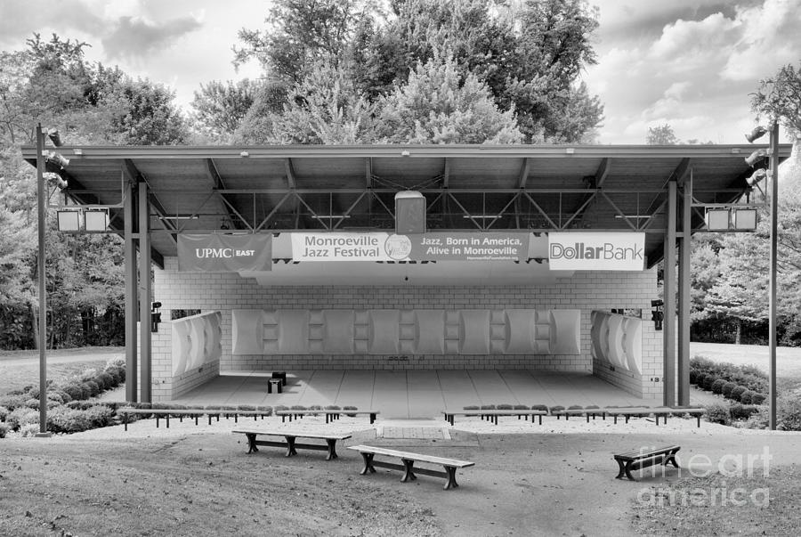 Tall Trees Amphitheater Front View Black And White Photograph by Adam Jewell