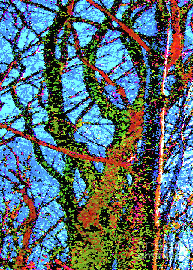 Tall Trees Digital Art by Joe Ress - Pixels