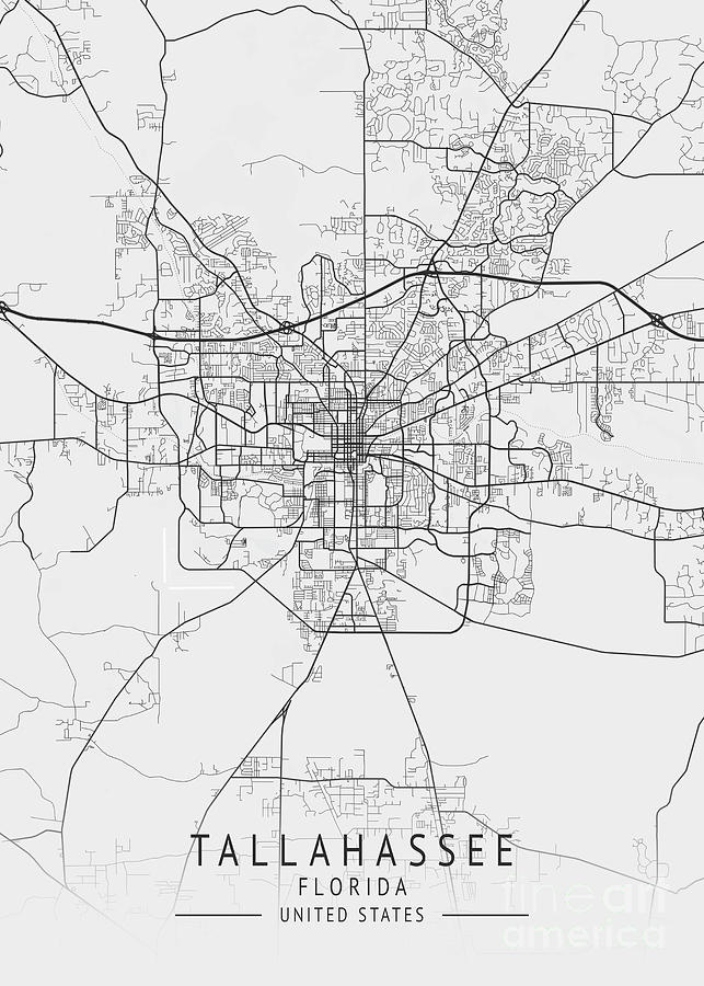 Tallahassee - Florida US Gray City Map Digital Art by Tien Stencil ...