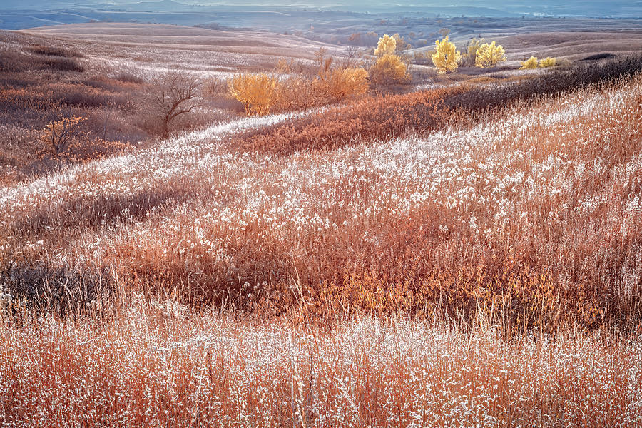 Tallgrass Prairie Autumn Photograph by Brad Mangas