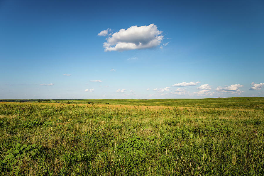 Nature Photograph - Tallgrass Prairie Preserve by Doug Long