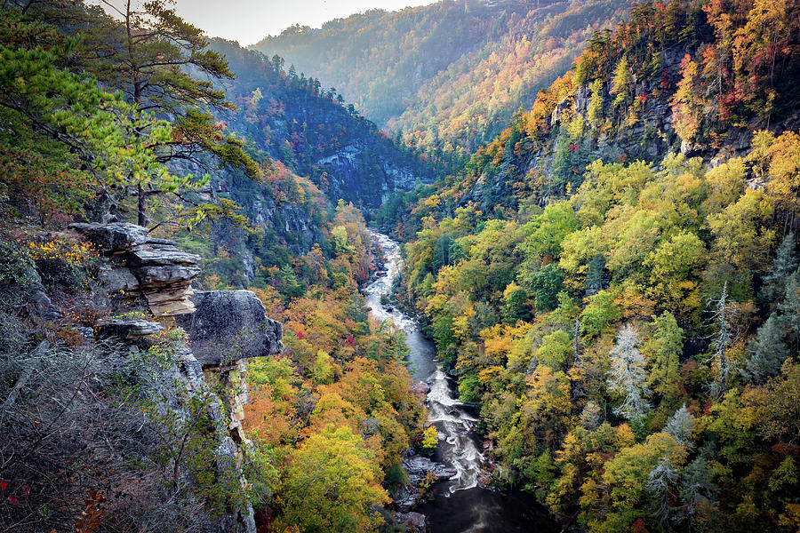 Tallulah River in the Gorge Photograph by Lee Reese - Fine Art America