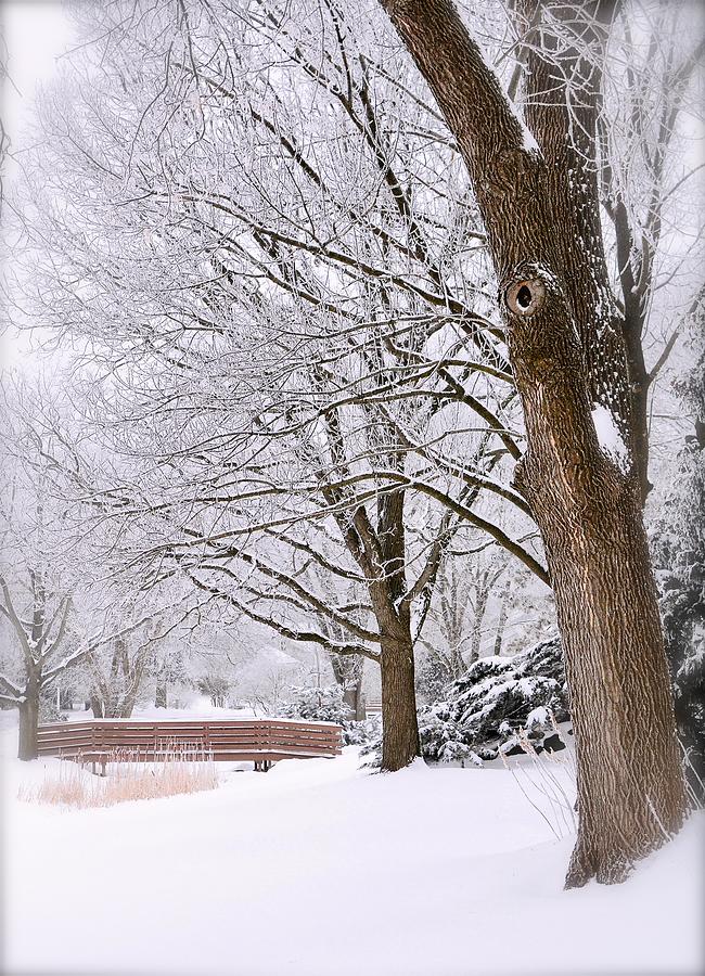 Tamarack Bridge in Winter Photograph by Ric Genthe - Fine Art America